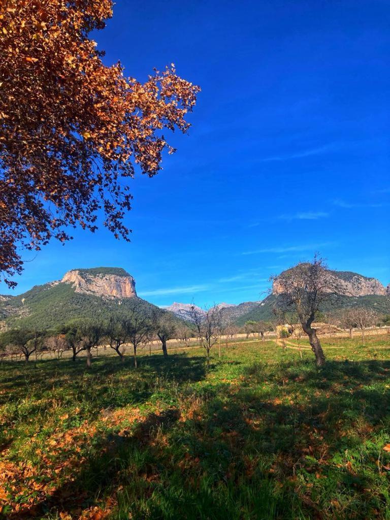 Son Ribes Villa Alaró Buitenkant foto